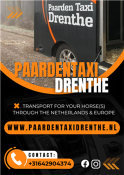 تاكسي الخيول درينثي - النقل في جميع أنحاء هولندا